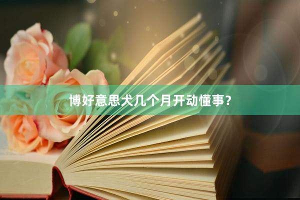 博好意思犬几个月开动懂事？